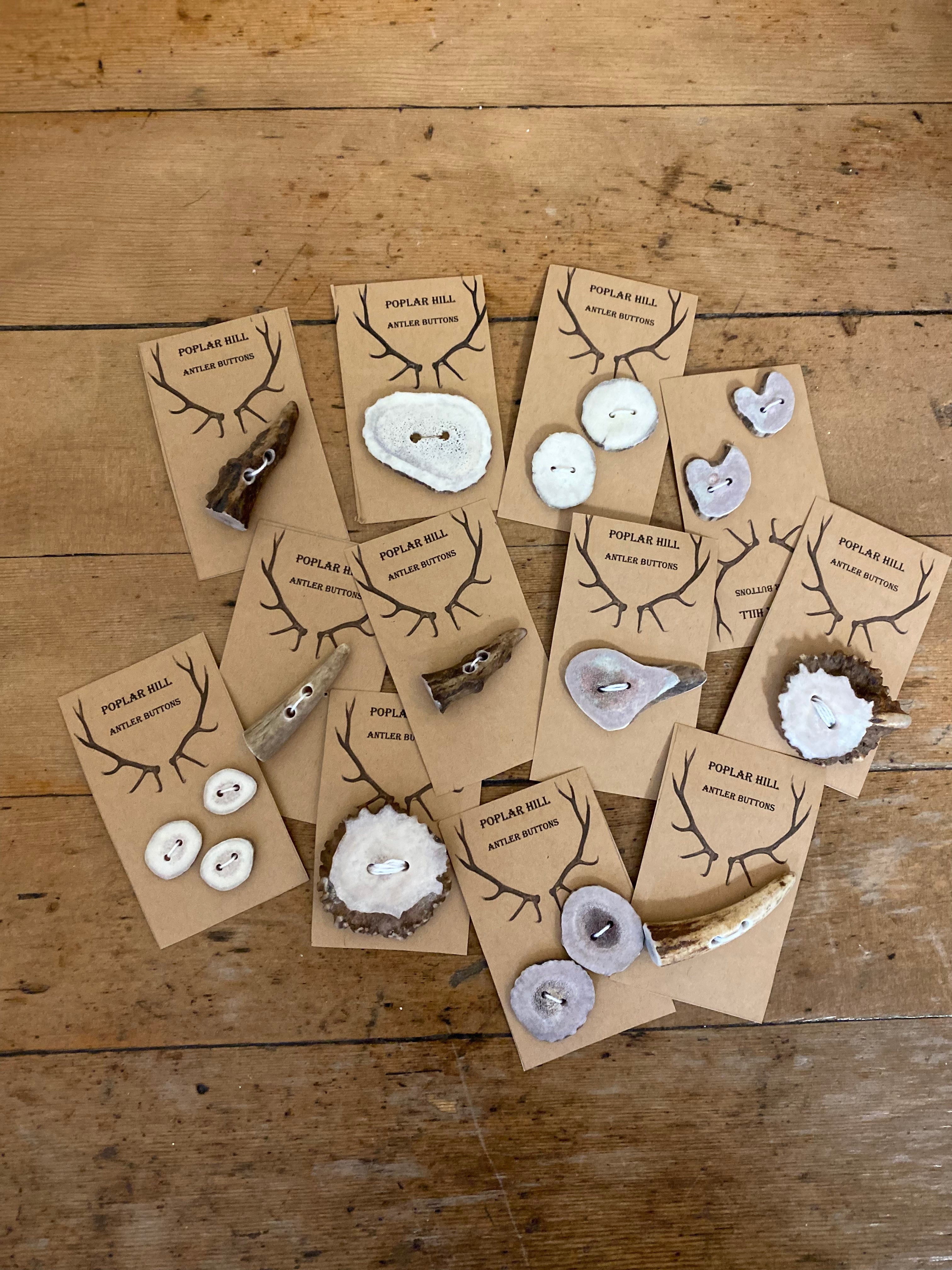 Poplar Hill Antler Buttons